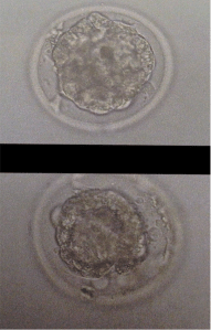 Screen Shot 2014-10-02 at 1.01.49 PM